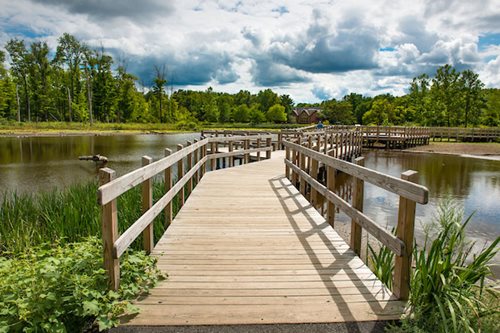 A charming wooden bridge arches over a still pond, framed by the natural beauty of a park.