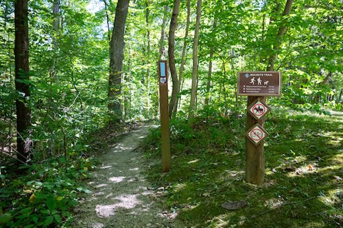 A peaceful forest path surrounded by trees, featuring signs that provide information for hikers and nature enthusiasts.