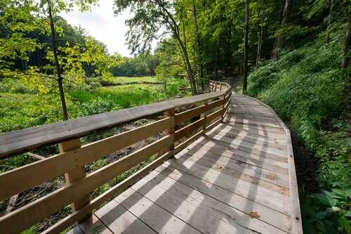 A wooden boardwalk leads into a serene green area, offering a pathway to tranquility and nature.