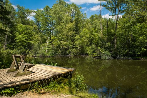 a bench on a wooden platform above a pond in the middle of trees and beautiful green scenery with bright blue skies and clouds 