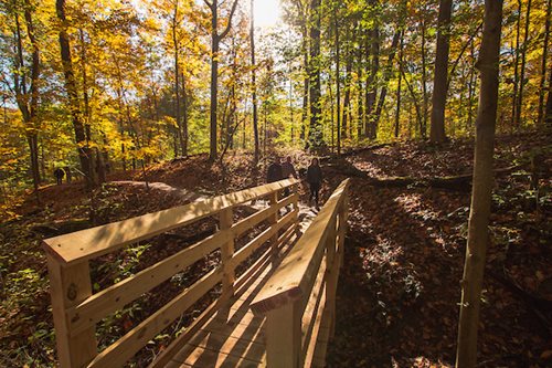 A serene wooden bridge surrounded by vibrant autumn leaves in a tranquil forest setting.