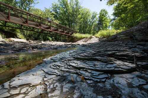 A charming bridge arches over a flowing stream, framed by dense woods, creating a serene natural landscape.