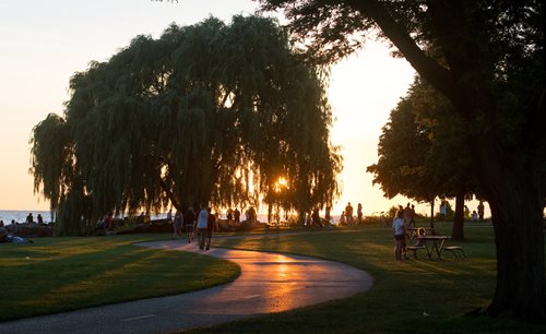 Sunset in a Park with Willow Trees and Walking Path, People Enjoying Nature at Waterfront, Relaxing Evening Ambiance