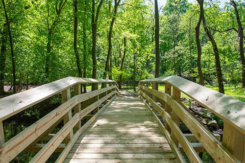 A rustic wooden bridge crosses a gentle stream, nestled among trees in a peaceful woodland environment.