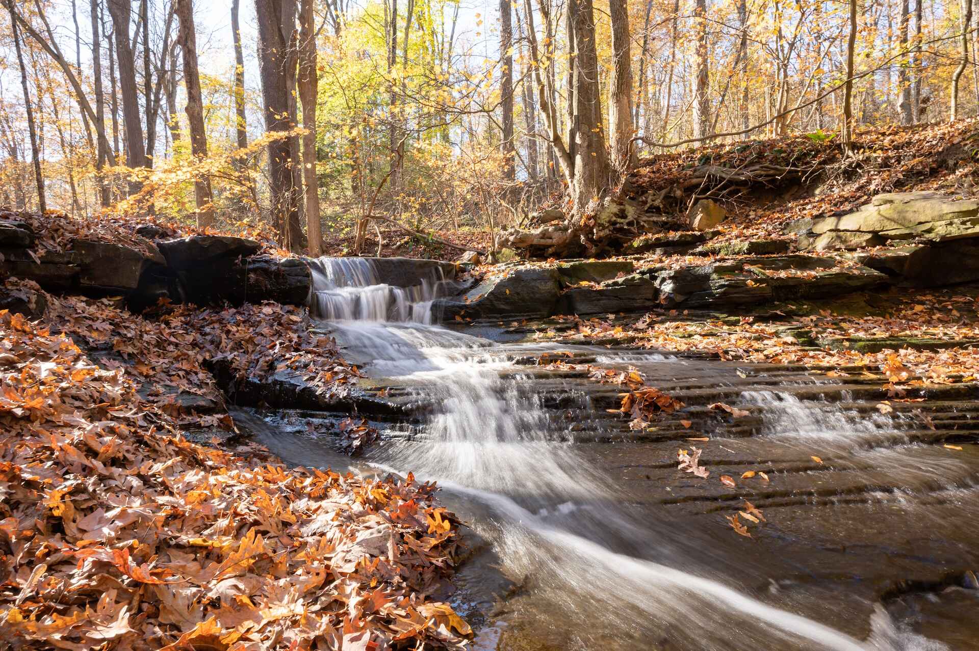 A picturesque waterfall flowing amidst dense woods, creating a tranquil scene in nature.