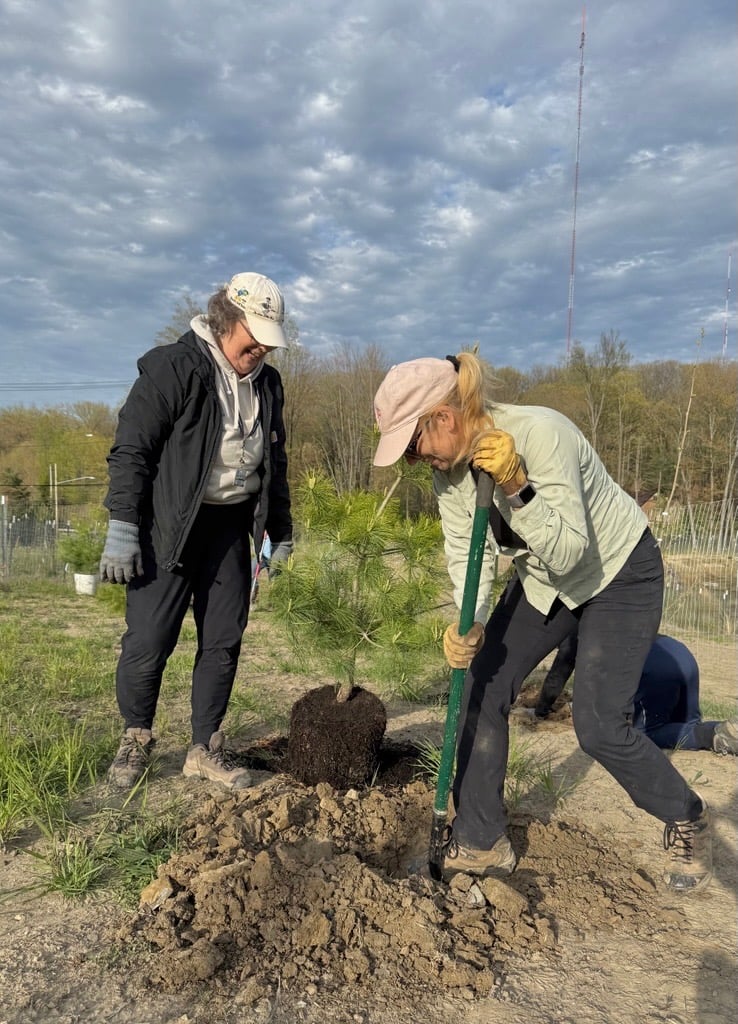 Image-44-1.jpg Image-44-1.jpg