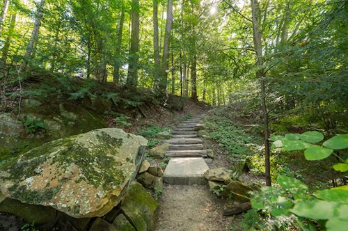  tranquil forest trail surrounded by trees and rocks, leading deeper into the peaceful woods.