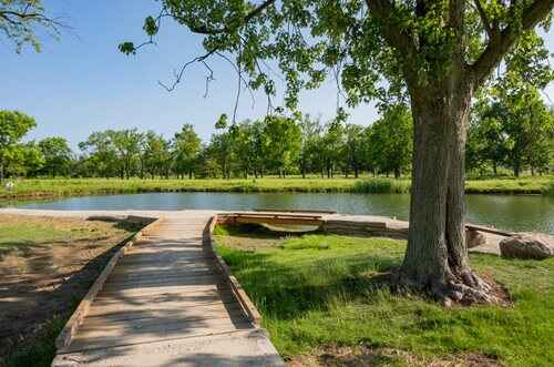 lake with trees around