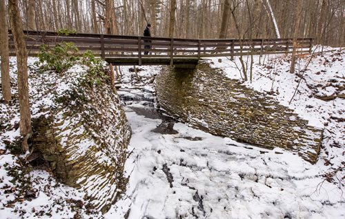 . A man stands on a bridge, observing a peaceful stream nestled within the forest.