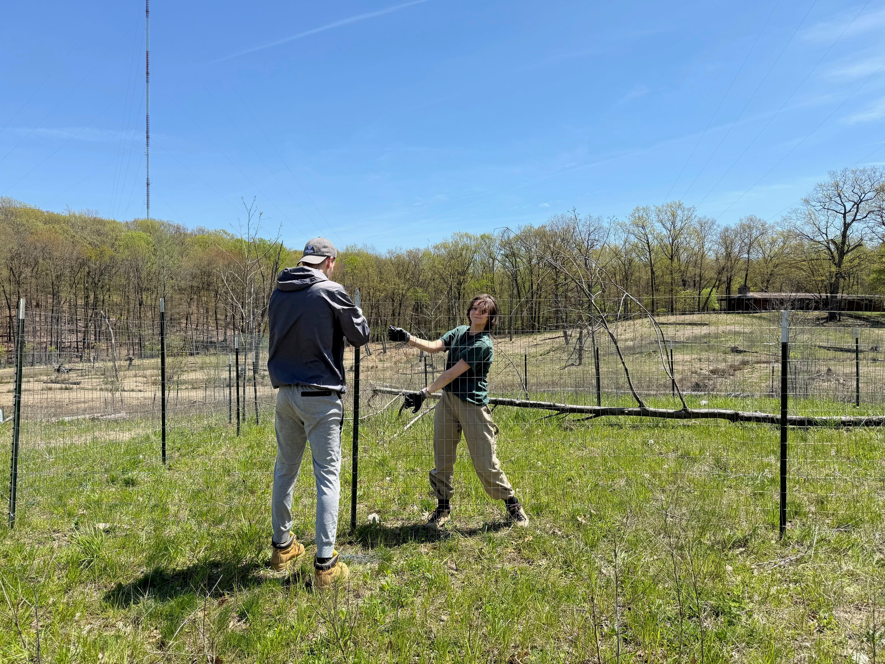 IMG_4713-1.jpg IMG_4713-1.jpg