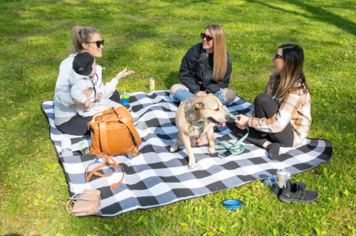 three women sitting on a blanket with a dog on a picnic blanket, a stock photo inspired by Ottilie Maclaren Wallace, instagram contest winner, regionalism, people on a picnic, picnic, image on the store website