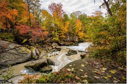 a close up of a river with rocks and trees in the background, a jigsaw puzzle by Bradley Walker Tomlin, instagram contest winner, regionalism, cahaba river alabama, fall colors, ohio