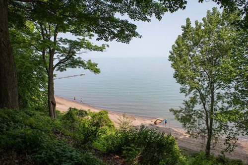 A panoramic view from a hillside, revealing the beach with its soft sands and rolling waves under a bright blue sky.