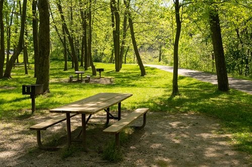 there are many picnic tables in the park with benches, a stock photo inspired by Henry Carr, shutterstock contest winner, environmental art, forest picnic, parks and public space, park background