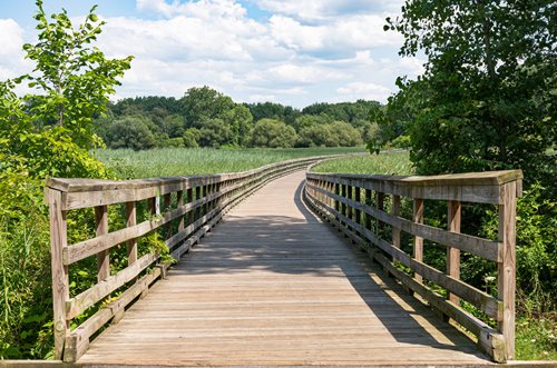 arafed wooden bridge over a marshy area with trees and grass, a stock photo inspired by Henry Carr, shutterstock contest winner, arts and crafts movement, wooden bridge, wide greenways, walking on an old wood bridge