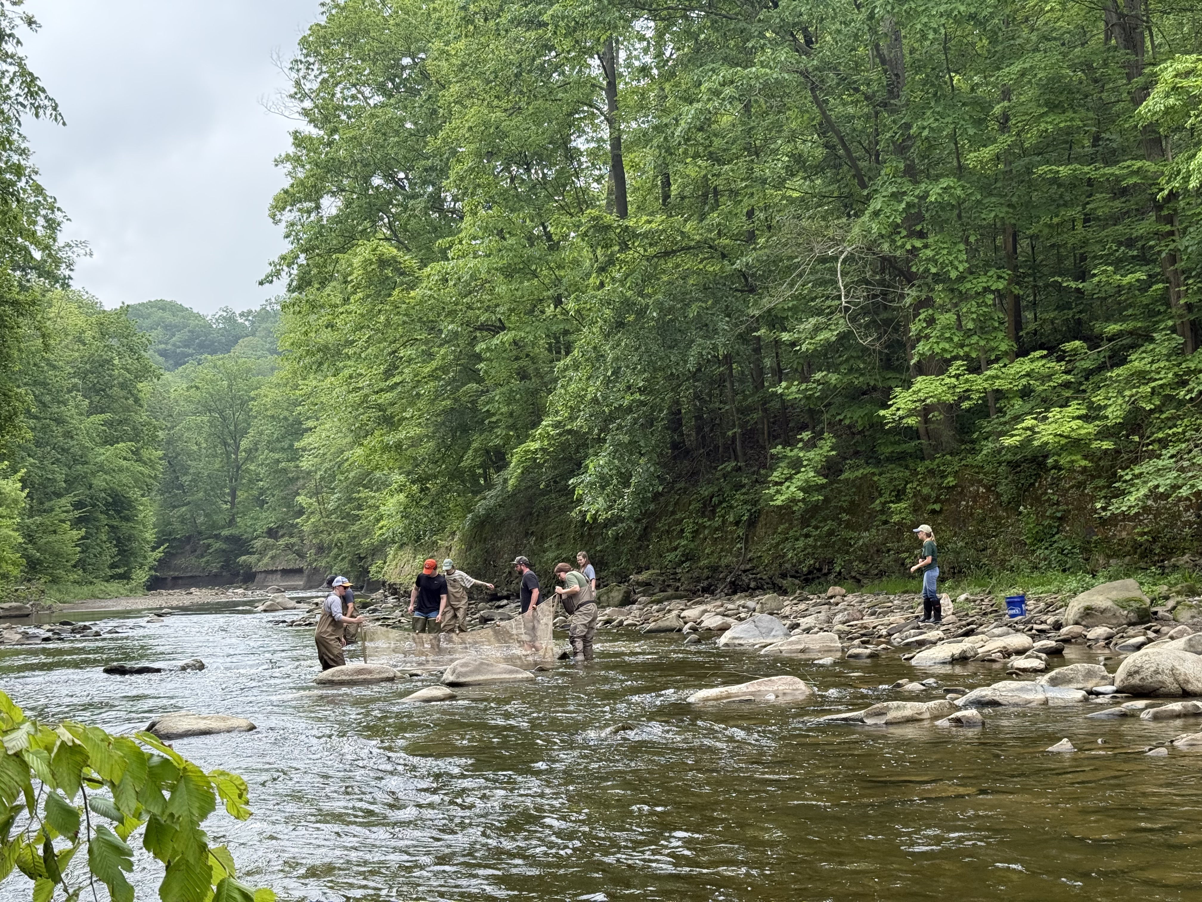 IMG_5826-1.jpg IMG_5826-1.jpg