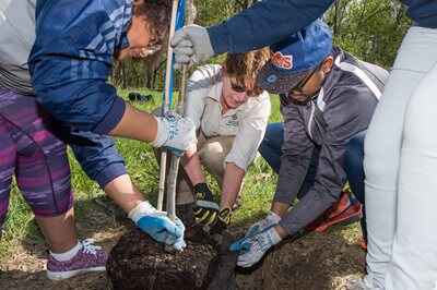 planting a tree