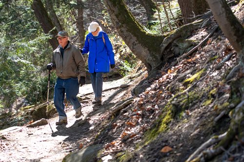 Two individuals walking along a wooded trail, surrounded by trees and natural scenery