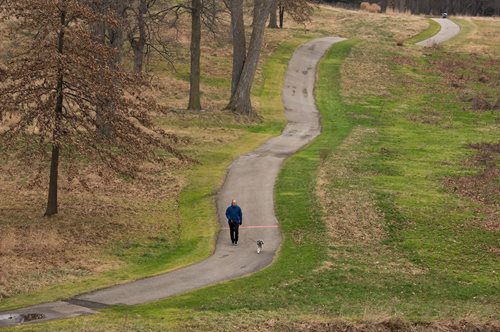 A man strolls with his dog along a serene path surrounded by lush greenery in the woods.