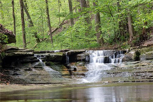 im Kaufman's photograph captures the tranquil beauty of Spring Creek Falls, with water flowing through vibrant spring foliage.