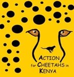 Action-for-Cheetahs-in-Kenya.jpg