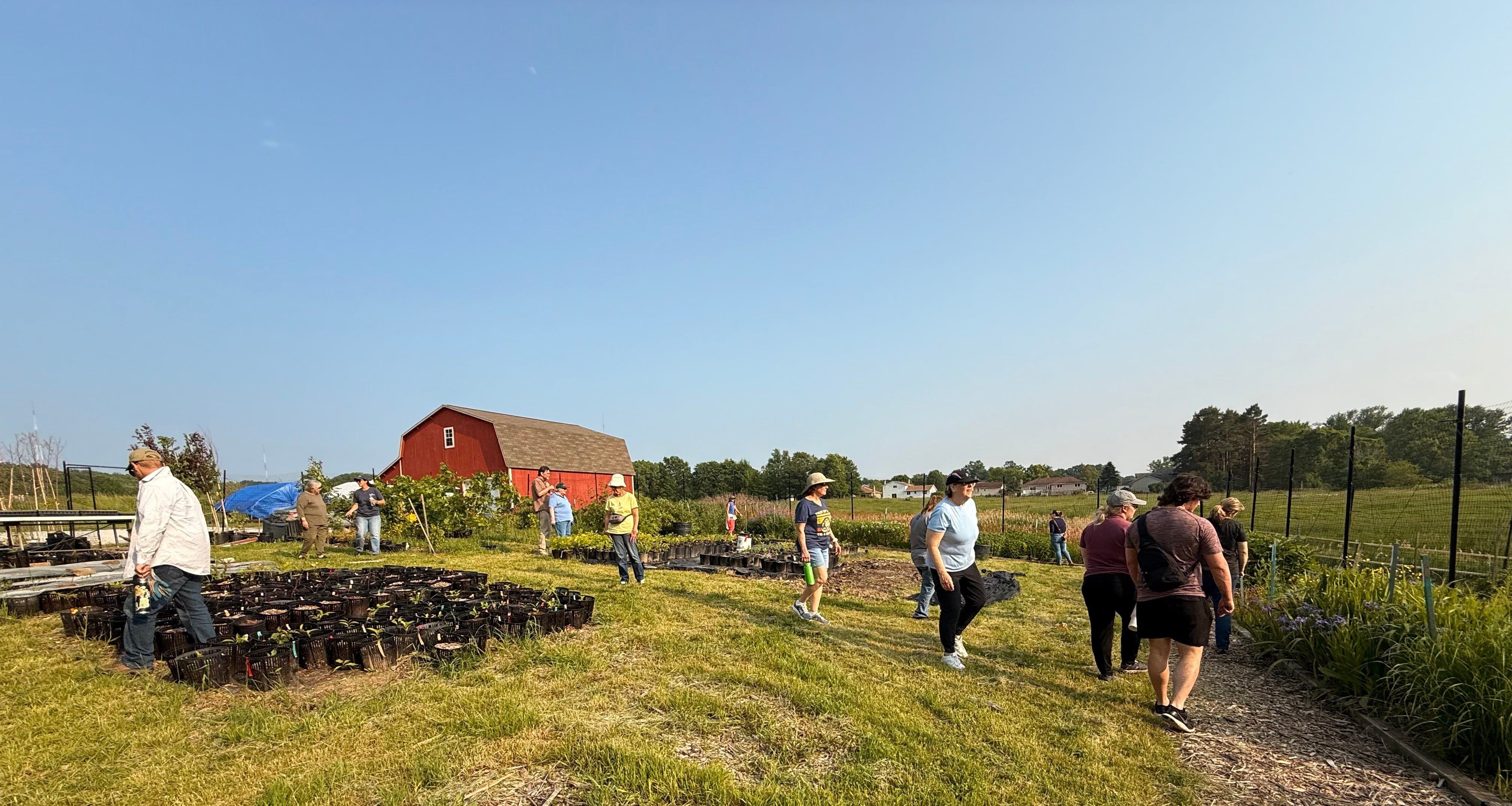 IMG_5709-2.jpg IMG_5709-2.jpg