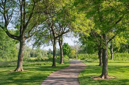 A picturesque pathway in a park, surrounded by trees and grassy areas, offers a peaceful outdoor experience.