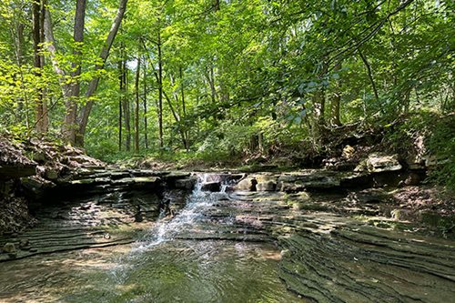 A serene small waterfall cascading through lush greenery in a tranquil forest setting.