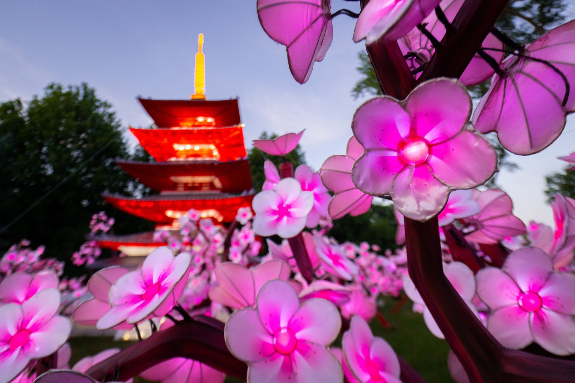 Cleveland Metroparks Zoo Extends Asian Lantern Festival Through September 14