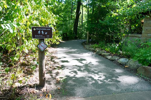 A scenic trail marked by a sign reading "nature trail," inviting exploration of the surrounding natural beauty.