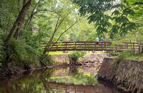 A rustic wooden bridge crosses a flowing river, nestled among trees in a peaceful woodland environment.