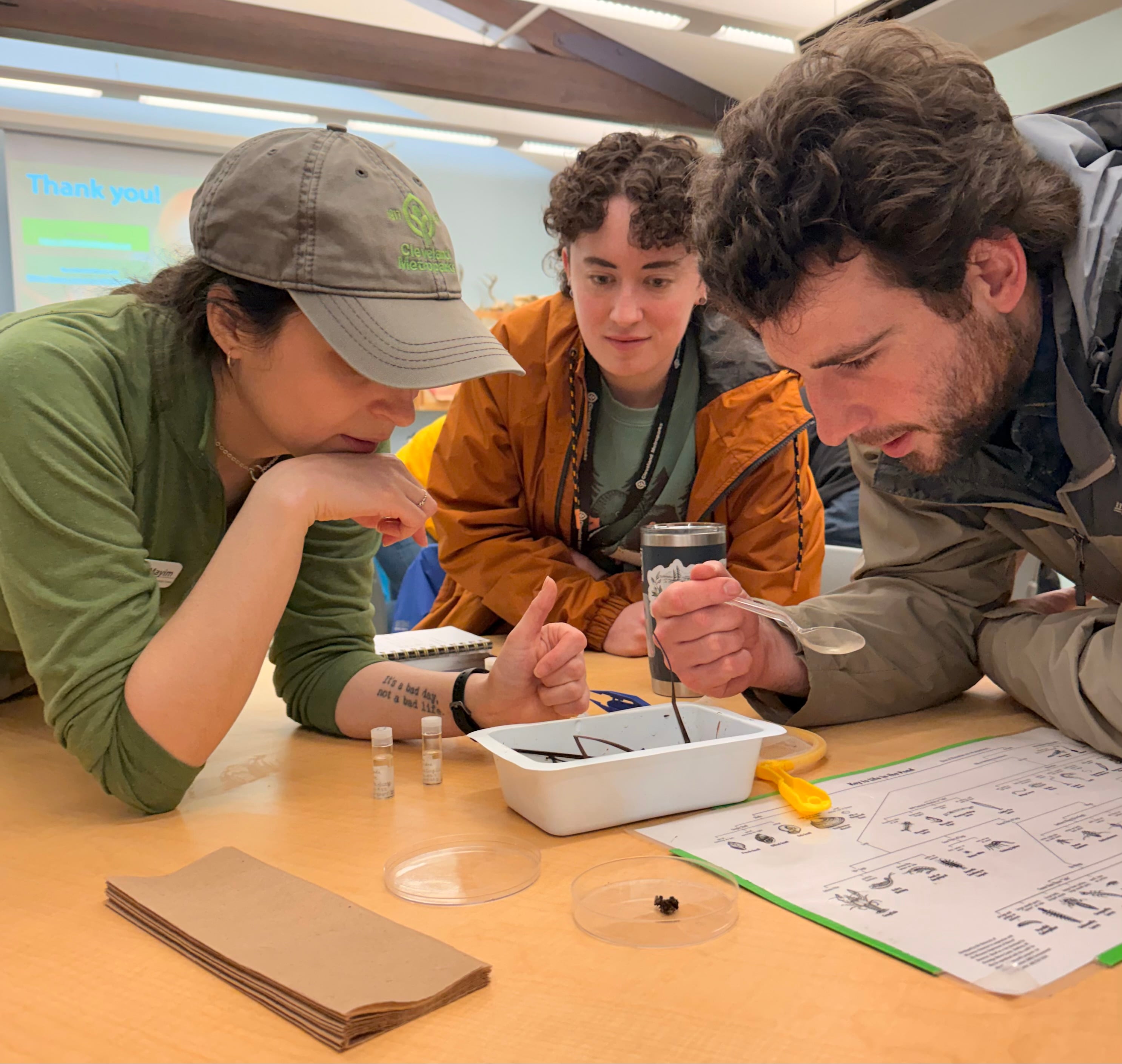 IMG_4954.jpeg IMG_4954.jpeg