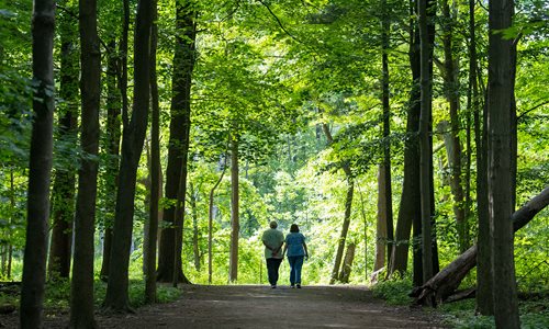 BrR-Summer-Hike.jpg