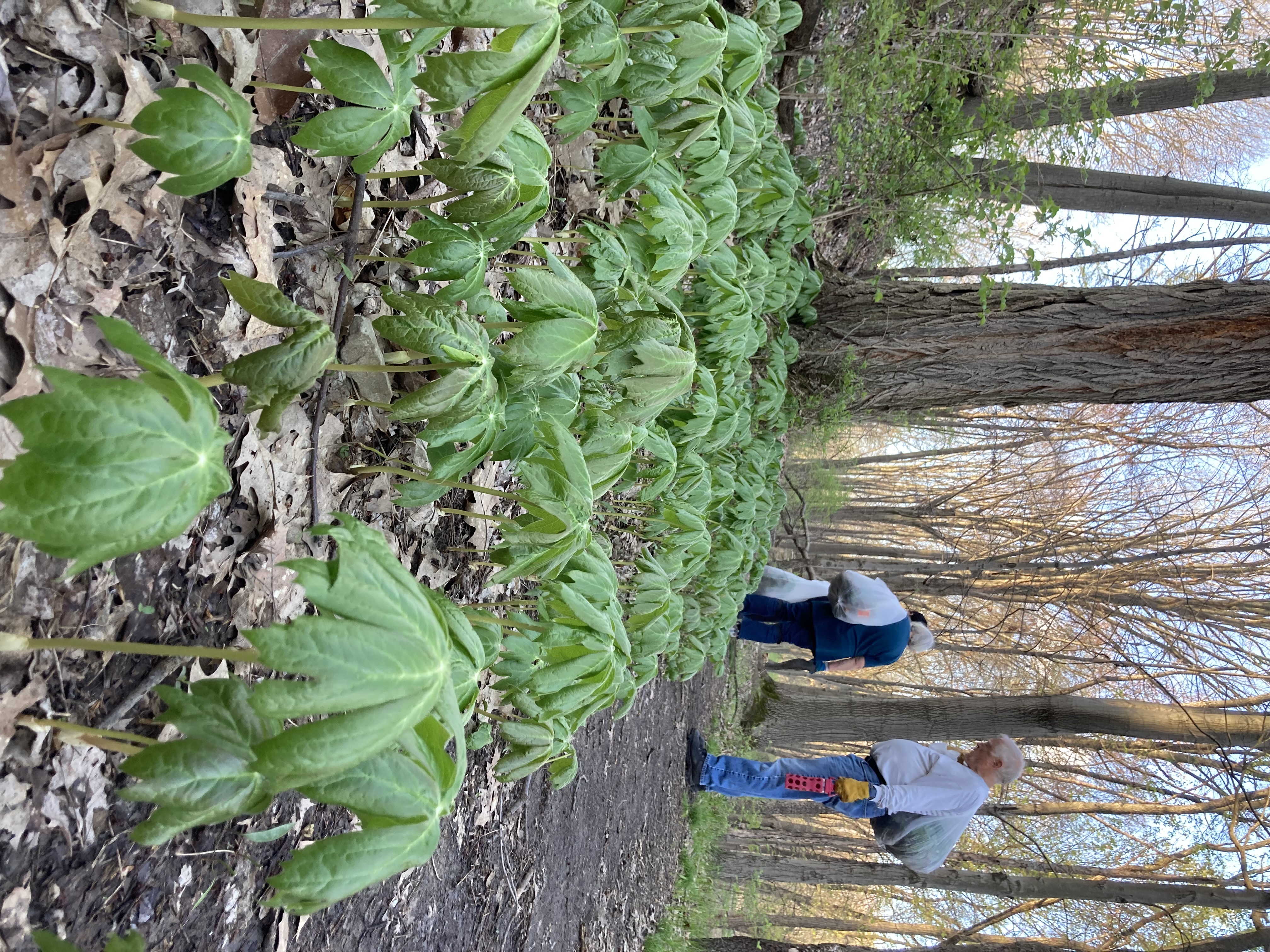 IMG_4838.jpg IMG_4838.jpg