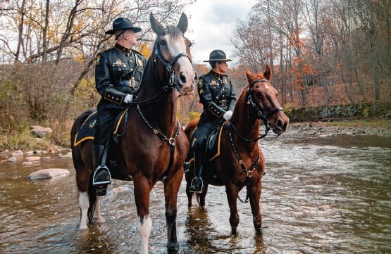 mounted_police.jpg mounted_police.jpg