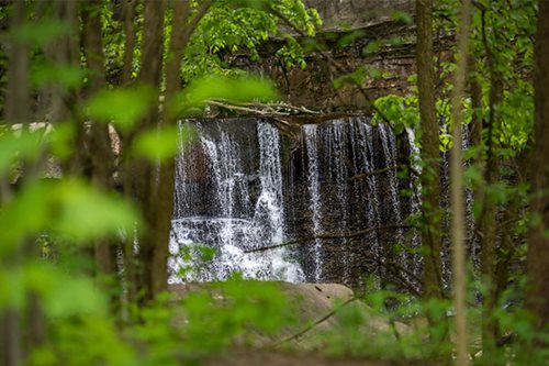 A beautiful waterfall tumbles over rocks in a wooded area, with trees providing a lush backdrop to the peaceful setting.