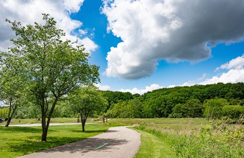 there is a paved path with a tree on the side of it, a stock photo inspired by Arlington Nelson Lindenmuth, featured on cg society, environmental art, park background, wide greenways, parks and public space