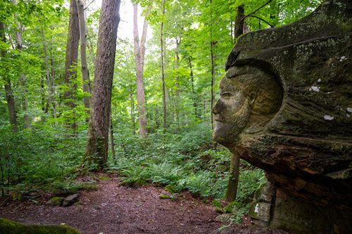 A large stone head surrounded by dense greenery in a tranquil forest setting.