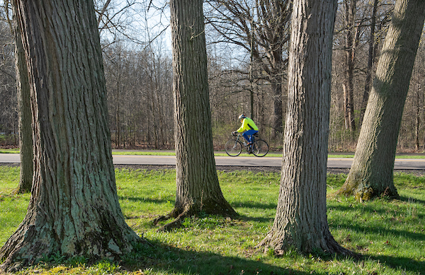 KLP_2518.jpg KLP_2518.jpg