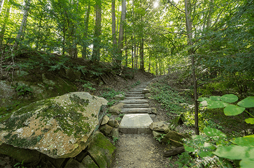 A picturesque path winding through a wooded area, featuring lush trees and rugged rocks along the way.