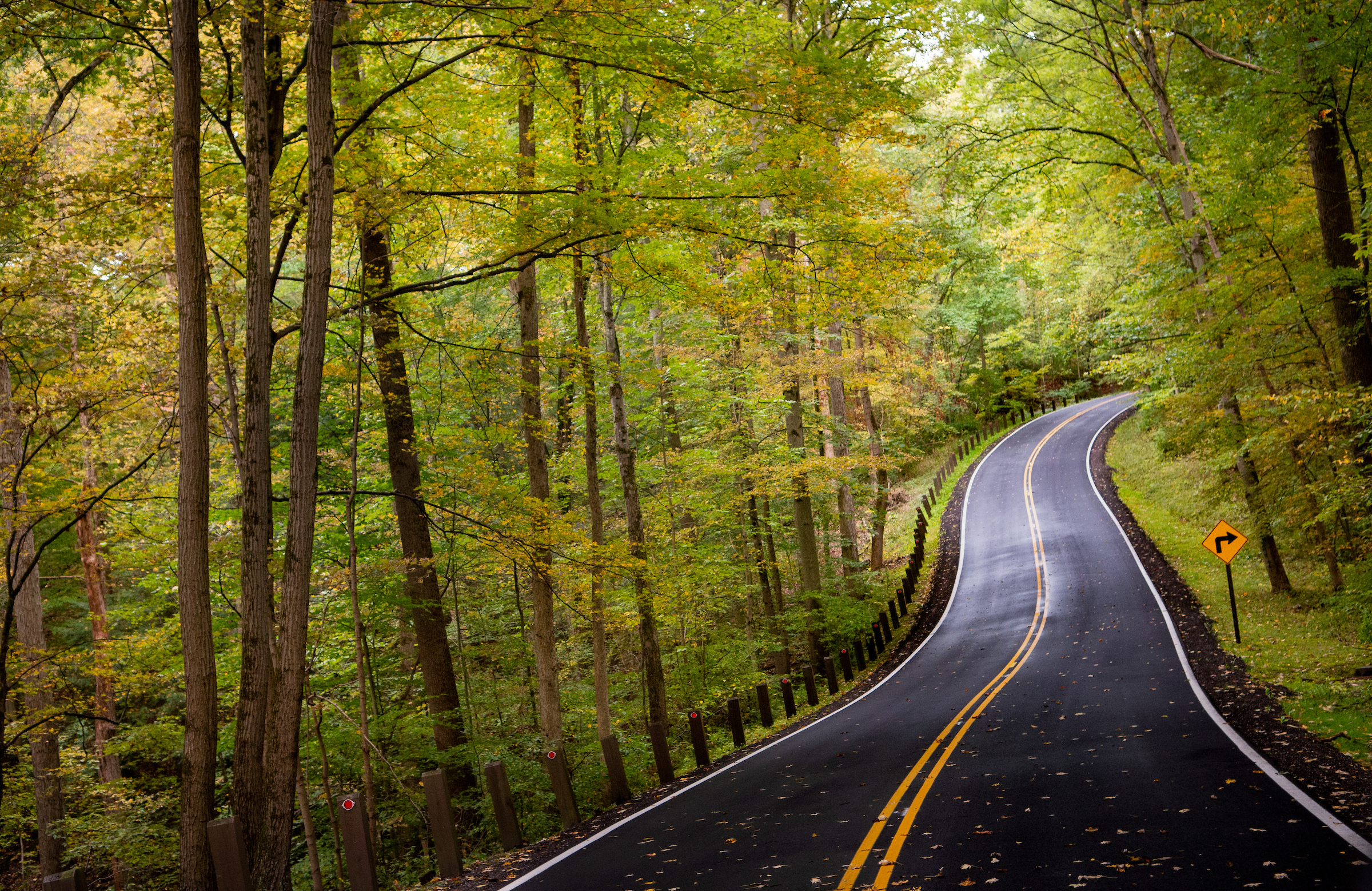 A tranquil pathway bordered by vibrant trees, offering a scenic view for those journeying along the road.