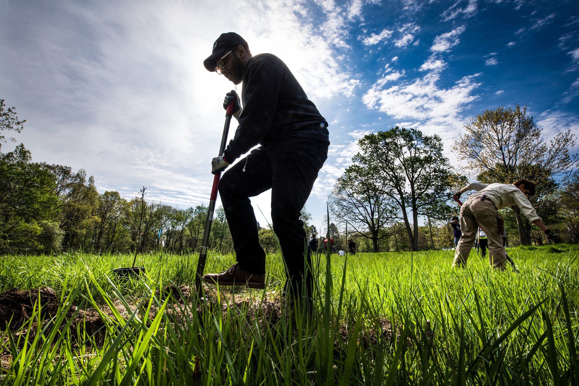 Cleveland Metroparks Launches Tree Planting Interactive Guide on Earth Day