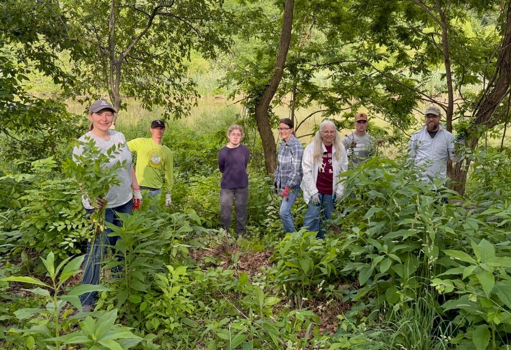 Image.jpeg Image.jpeg