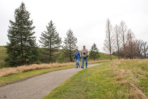 Two individuals stroll along a path through a lush, grassy field under a clear sky.