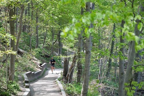 A solitary figure strolls down a wooded path, enveloped by trees and nature's tranquility.